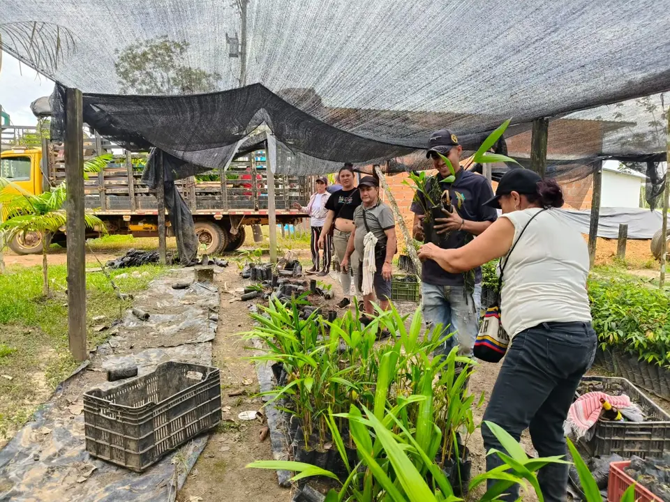 Vivero de material vegetal - Fundación SEMDEAMOR