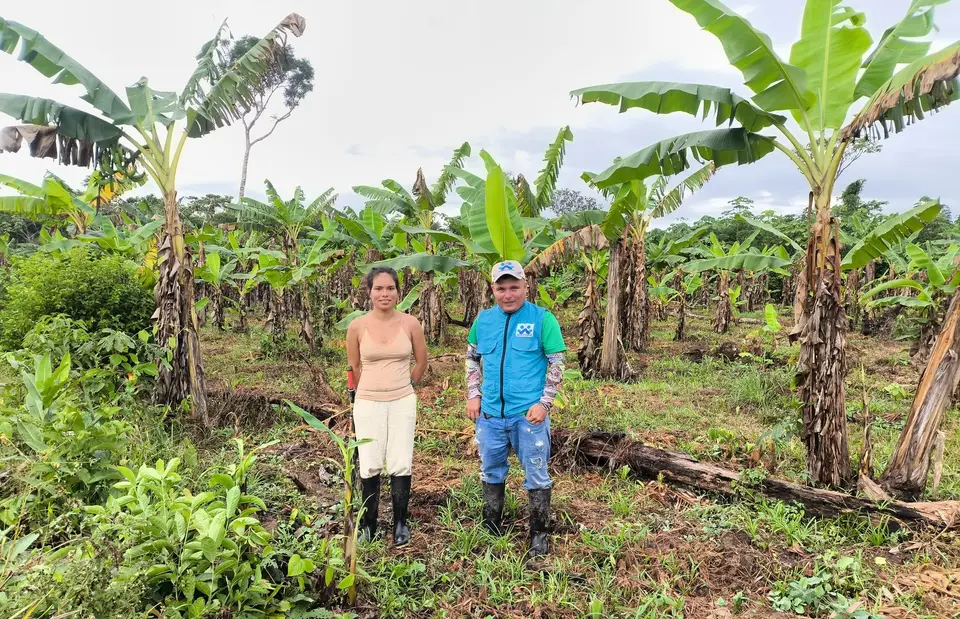Visita a cultivo de plátano - Fundación SEMDEAMOR