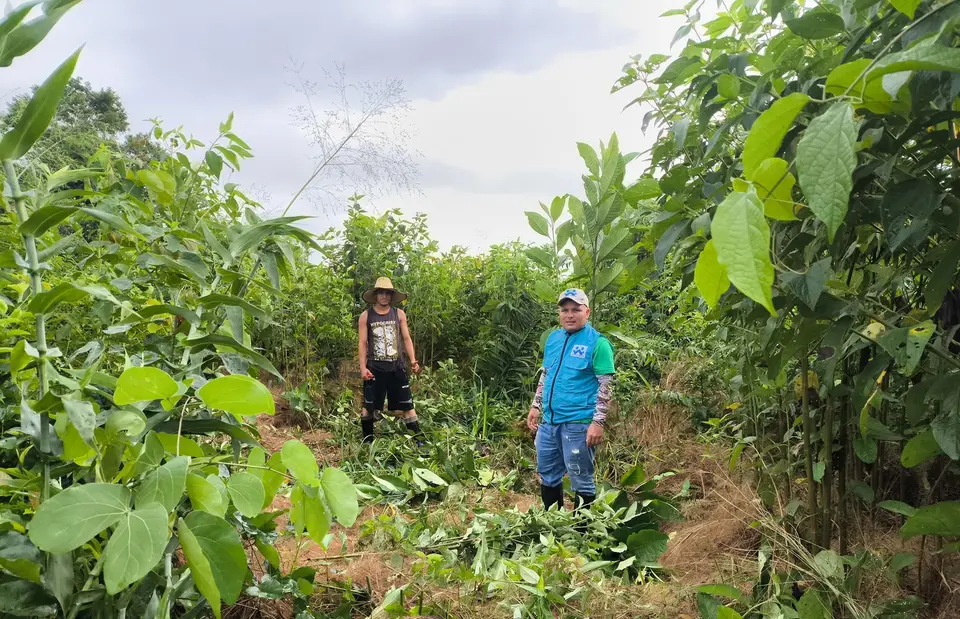 Seguimiento en finca - Fundación SEMDEAMOR