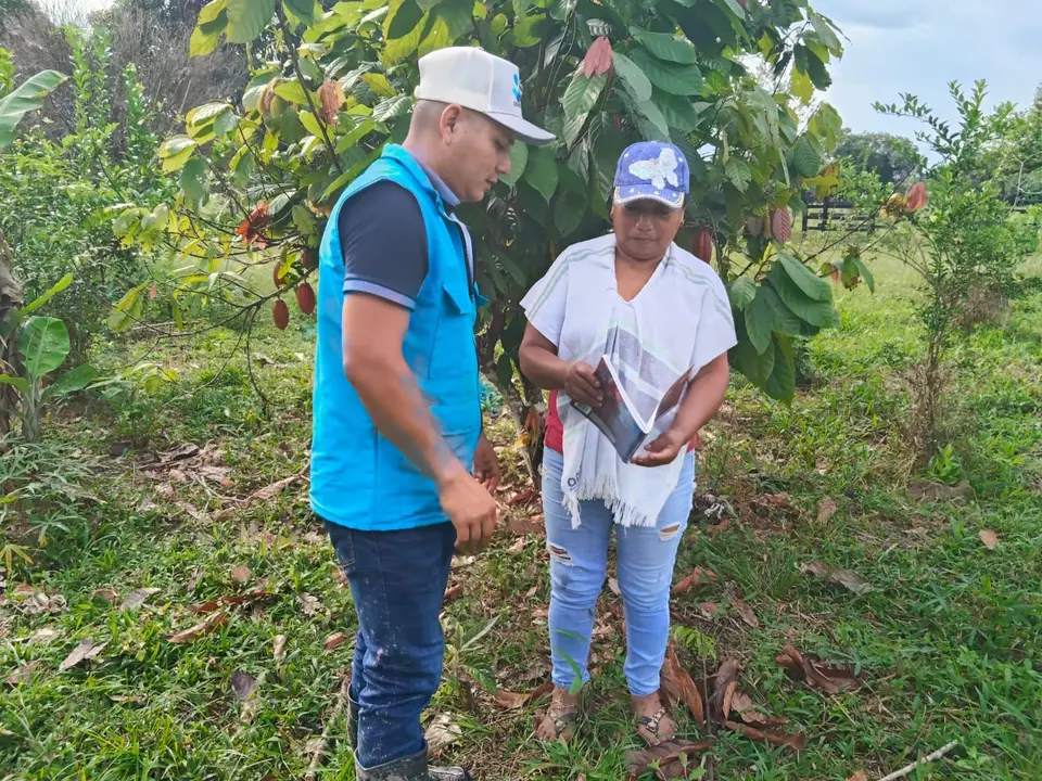 Asesoría en cultivo de cacao - Fundación SEMDEAMOR
